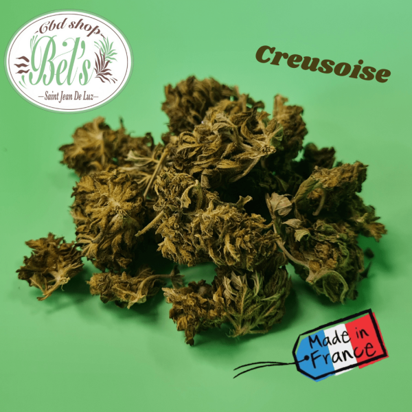 Fleurs CBD CREUSOISE