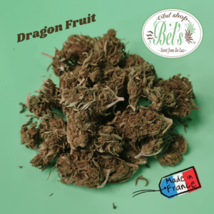 DRAGON FRUIT CBD