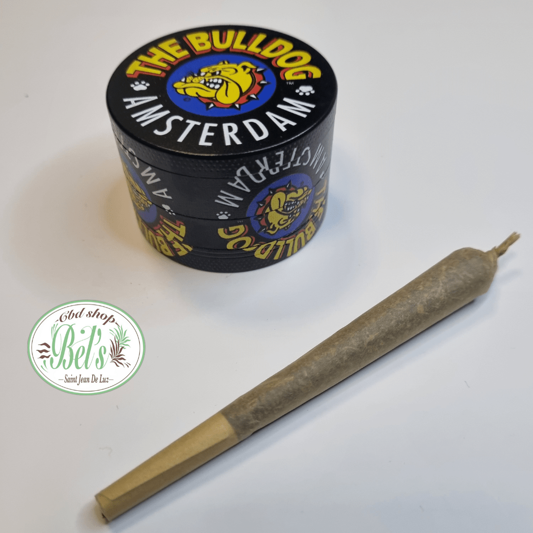 grinder bulldog amsterdam
