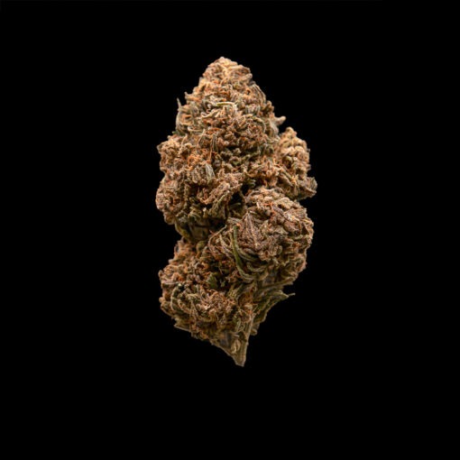 Fleurs Ultra Pink CBD BIO greenhouse