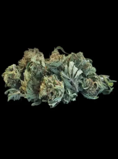 apple haze cbd-belscbdshop